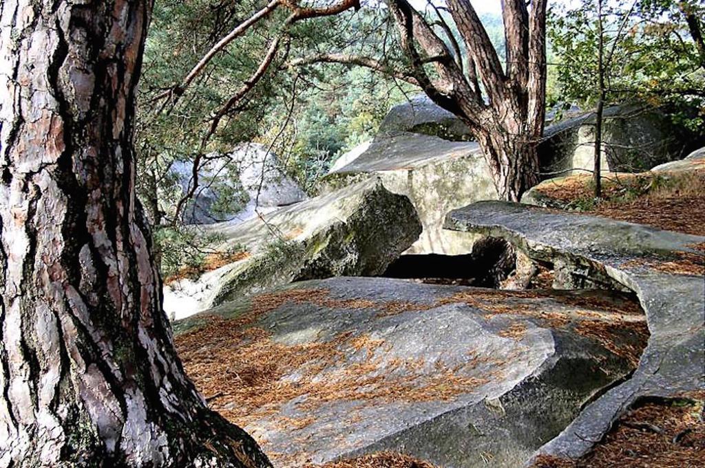 Fontainebleau Sweet Home Екстер'єр фото
